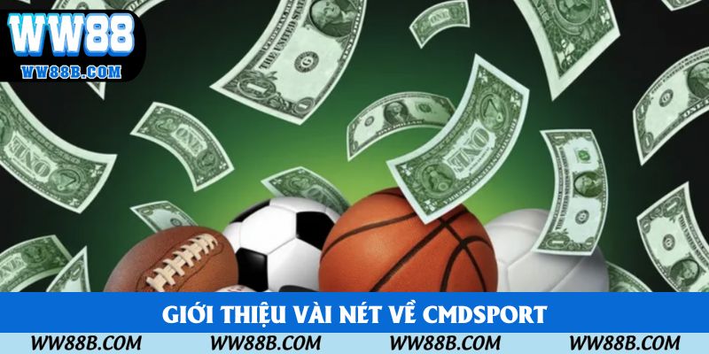 Giới thiệu vài nét về CMDSPORT